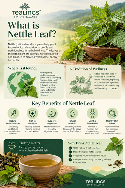 Nettle Leaf Tea