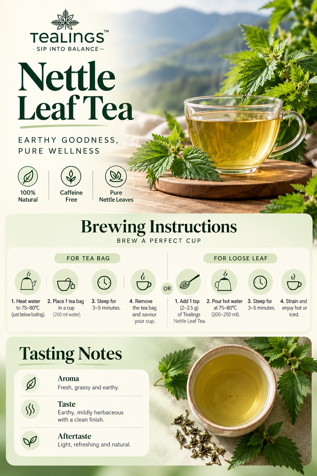 Nettle Leaf Tea