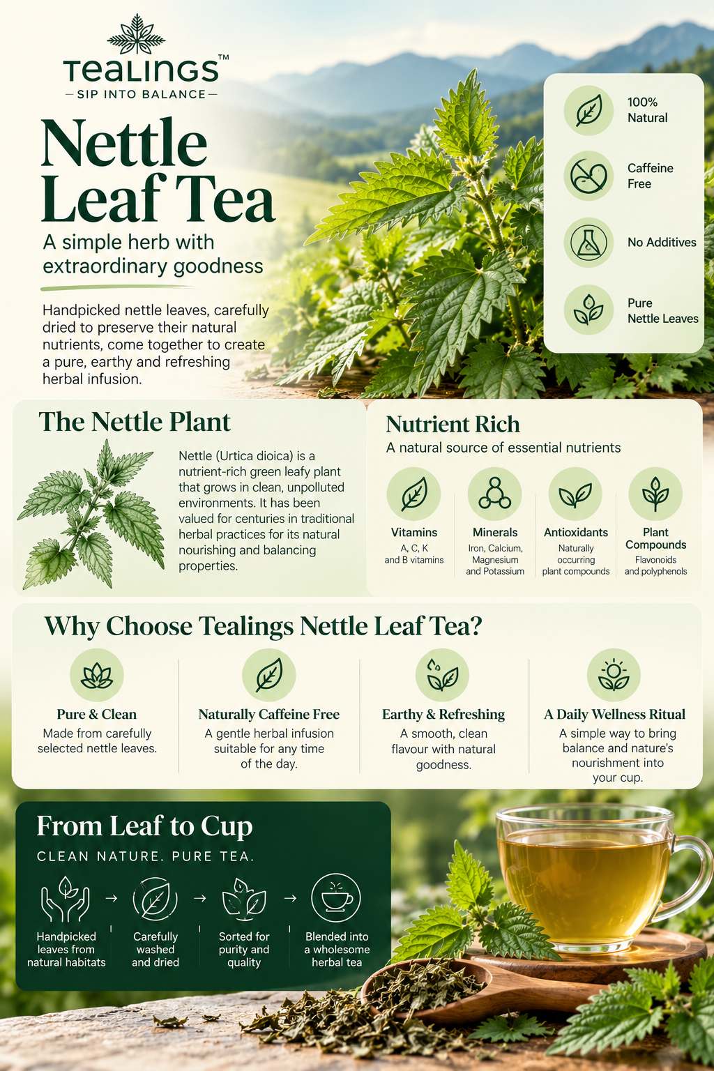 Nettle Leaf Tea