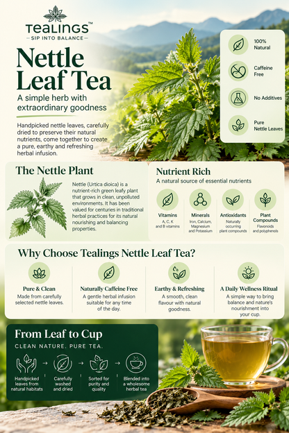 Nettle Leaf Tea