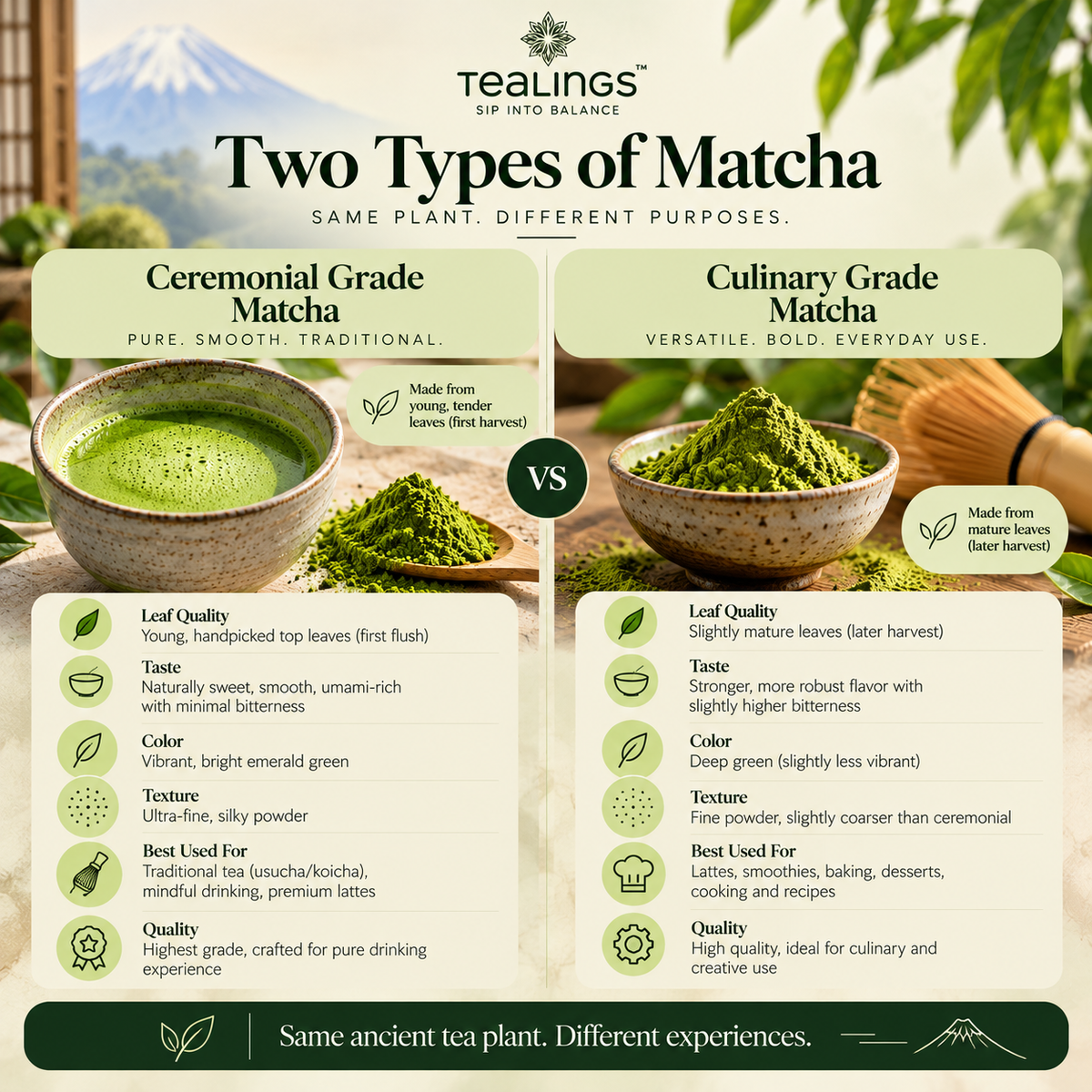 Matcha Green Tea