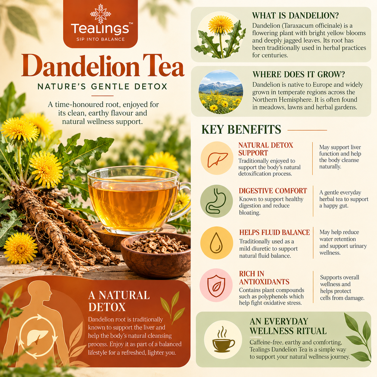 Dandelion Tea
